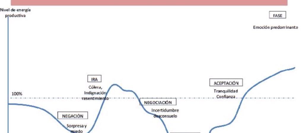 El ciclo del Duelo: Etapas en el Proceso del Duelo según el modelo de Kübler-Ross