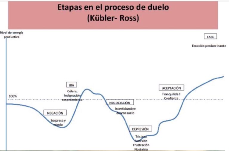 El ciclo del Duelo: Etapas en el Proceso del Duelo según el modelo de